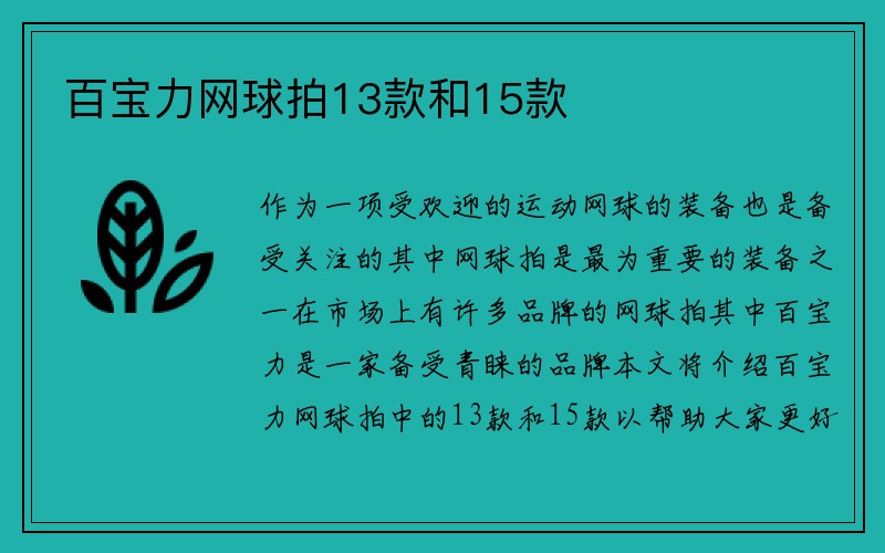 百宝力网球拍13款和15款