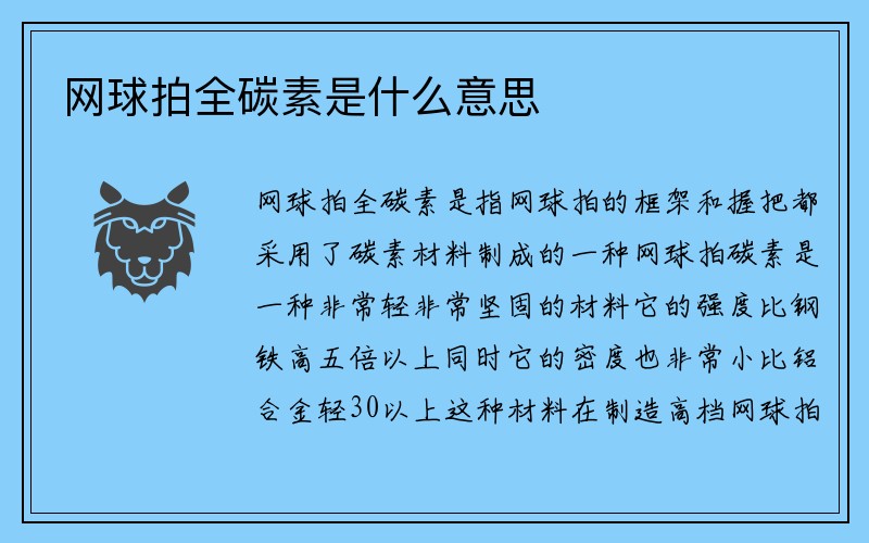 网球拍全碳素是什么意思